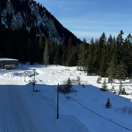 Winter Fairytale, In-ski Out Posebna Ponuda! アパート